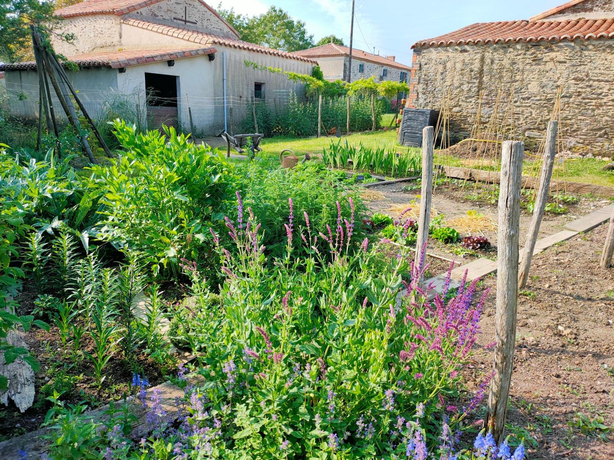 Le Vieux Logis De La Galocherie Sainte-Florence Bagian luar foto